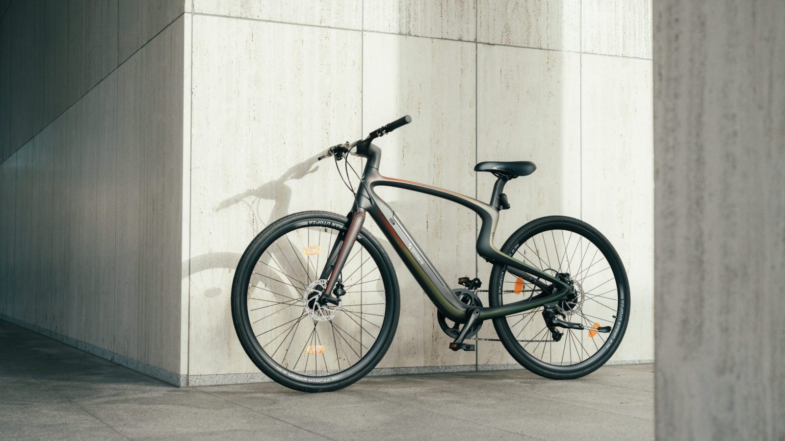 Edited Pictures III -33